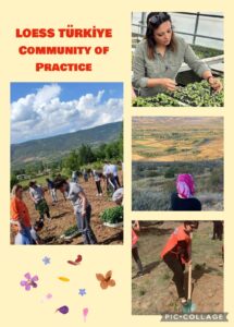 LOESS Türkiye CoP