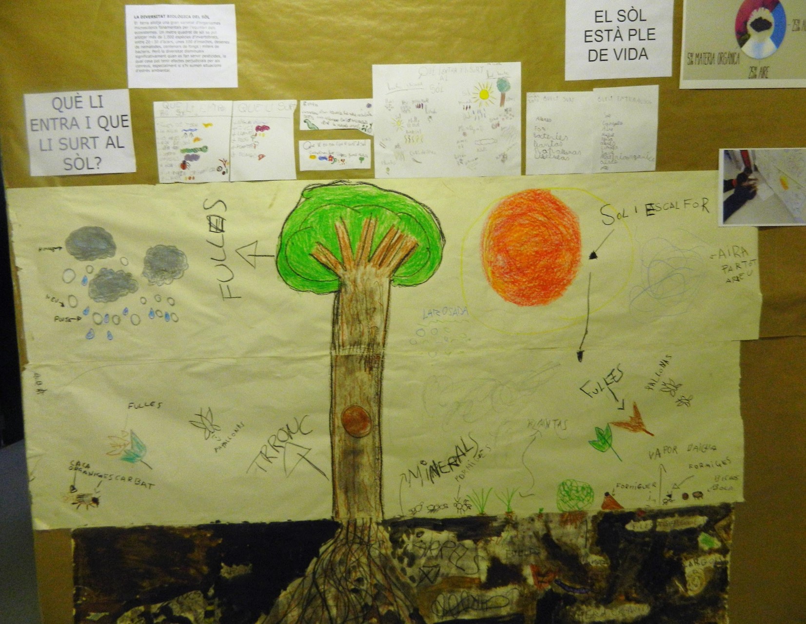 Case studies - Loess Project