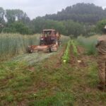 Finca de Can Poc Oli - EA Manresa 4 (1)